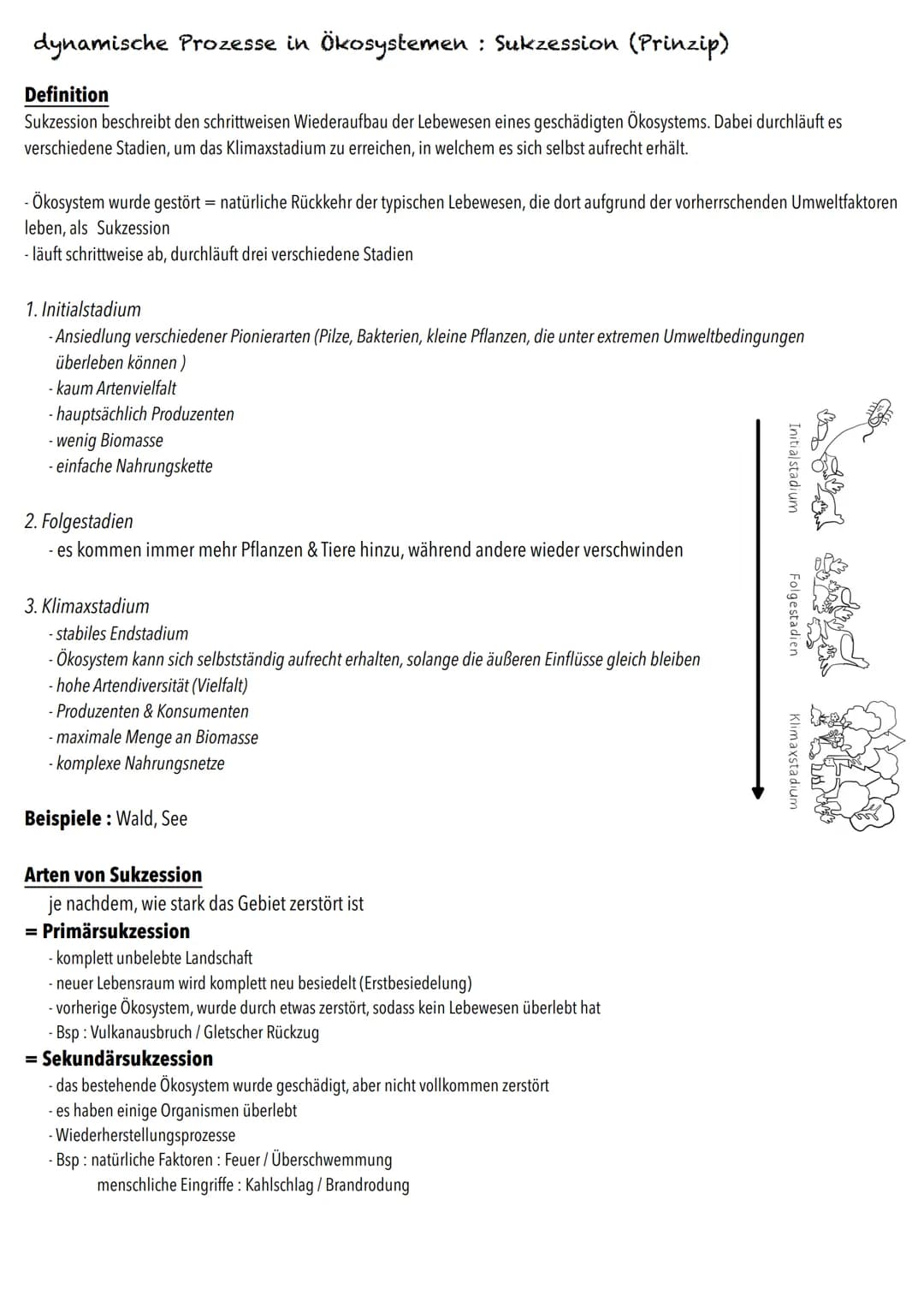 Q2
Ökologie BIOLOGY Abitur Checkliste - Themenübersicht
Strukturierung von Ökosystemen an einem Beispiel
abiotische Faktoren und deren Einfl