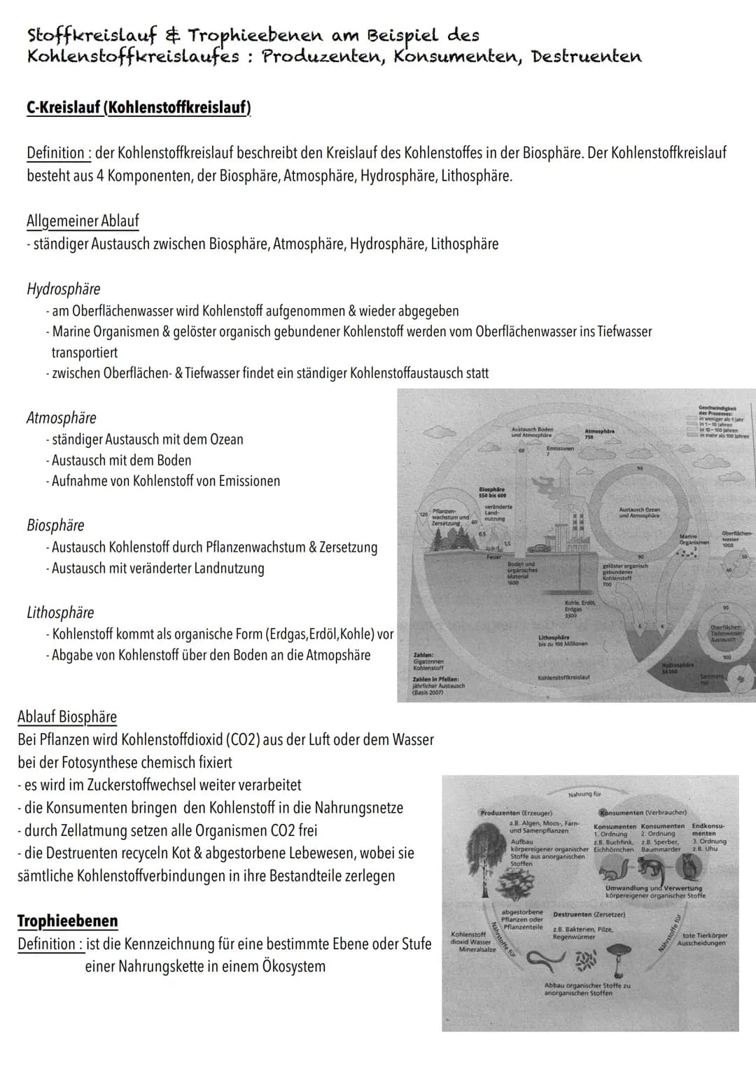 Q2
Ökologie BIOLOGY Abitur Checkliste - Themenübersicht
Strukturierung von Ökosystemen an einem Beispiel
abiotische Faktoren und deren Einfl