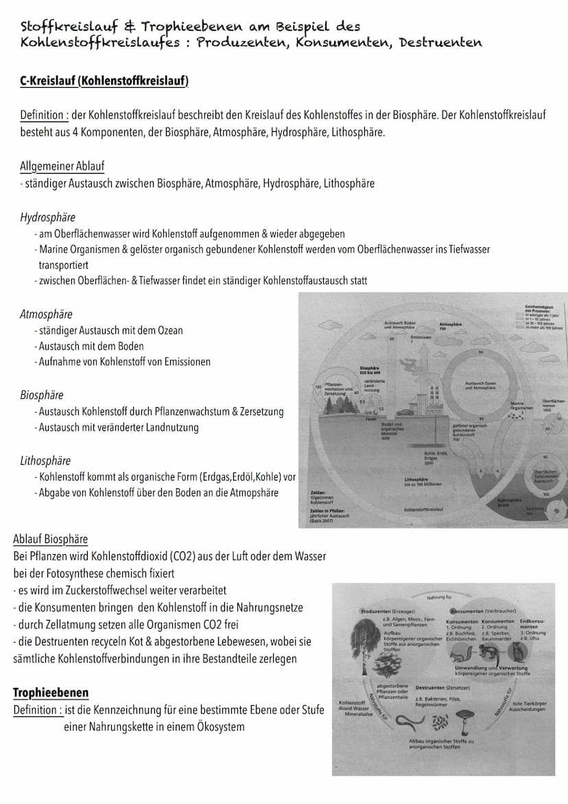 Q2
Ökologie BIOLOGY Abitur Checkliste - Themenübersicht
Strukturierung von Ökosystemen an einem Beispiel
abiotische Faktoren und deren Einfl