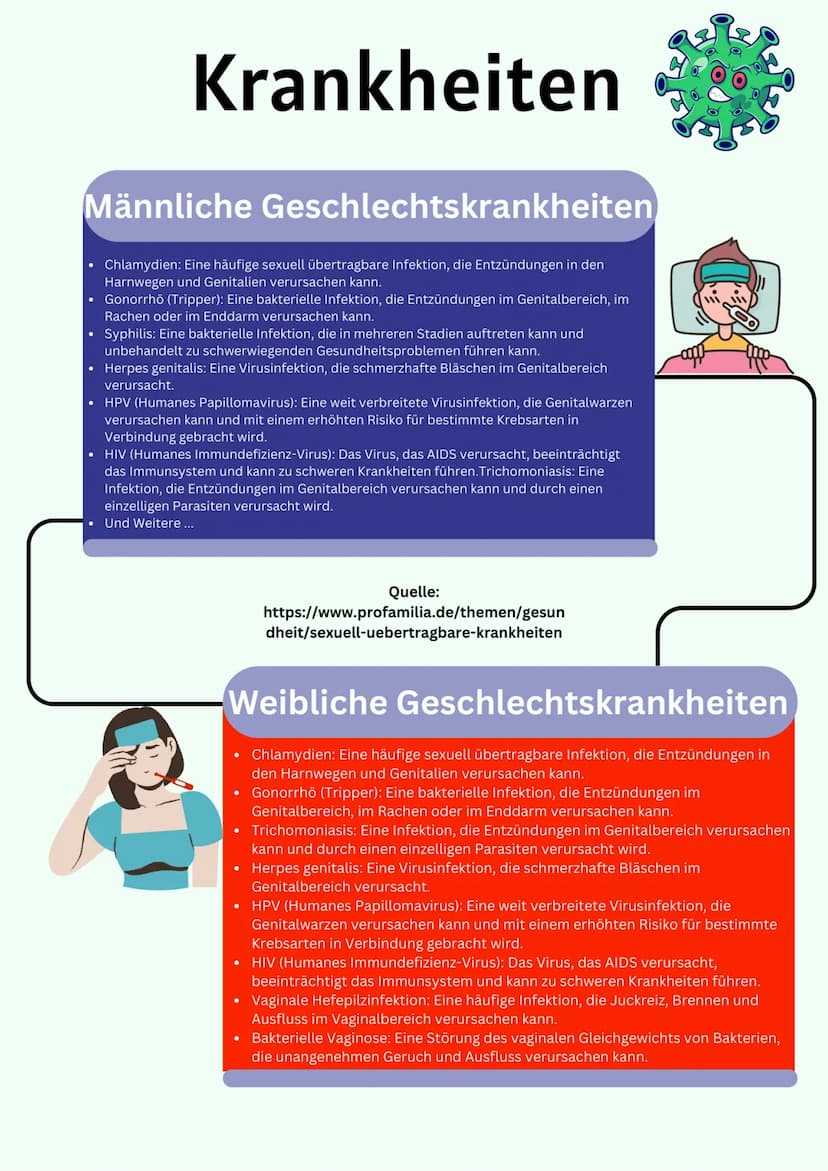 Übersicht
Geschlechtsorgane
@gregors_nachhilfe Eileiter
Venushügel
Weibliches
Geschlechtsorgan
Schambeinfuge
Klitoris
Grundlagen
kleine Scha