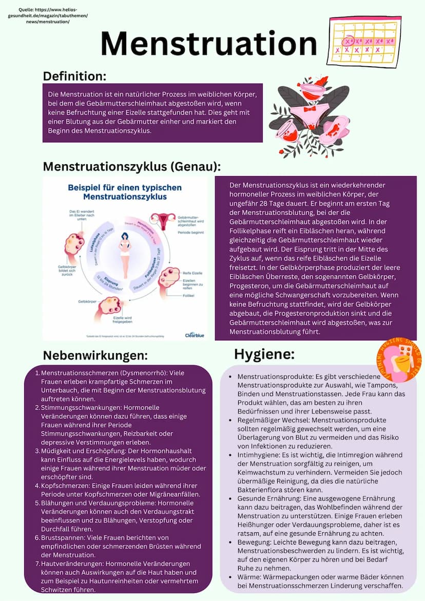 Übersicht
Geschlechtsorgane
@gregors_nachhilfe Eileiter
Venushügel
Weibliches
Geschlechtsorgan
Schambeinfuge
Klitoris
Grundlagen
kleine Scha