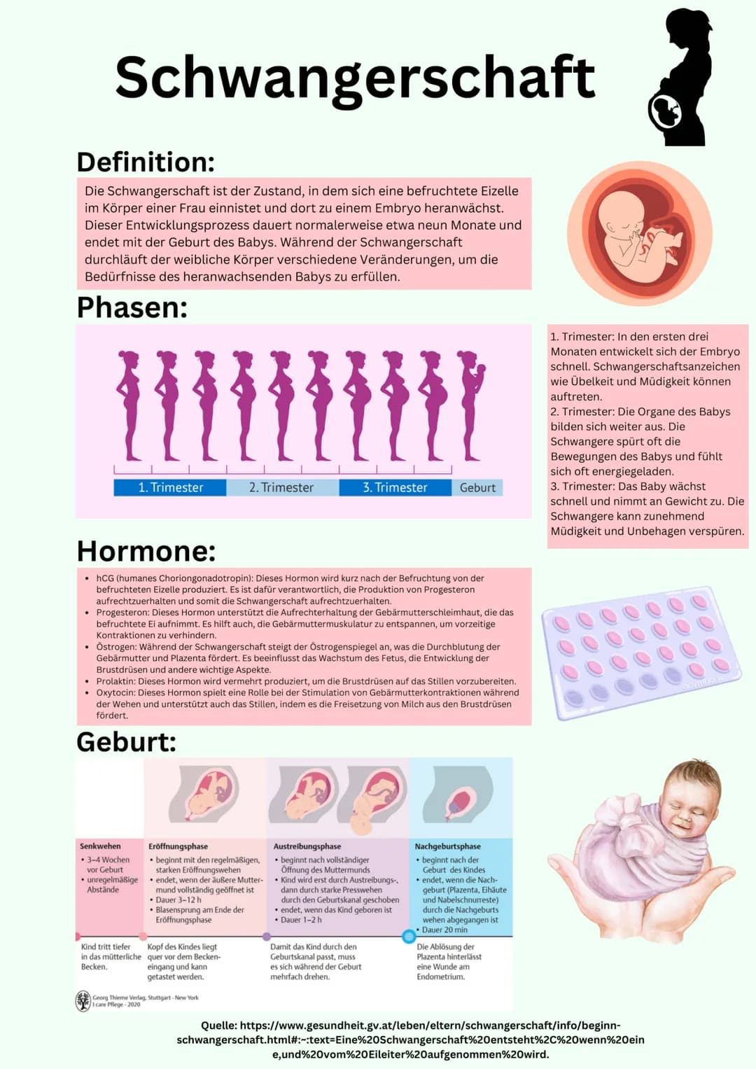 Übersicht
Geschlechtsorgane
@gregors_nachhilfe Eileiter
Venushügel
Weibliches
Geschlechtsorgan
Schambeinfuge
Klitoris
Grundlagen
kleine Scha