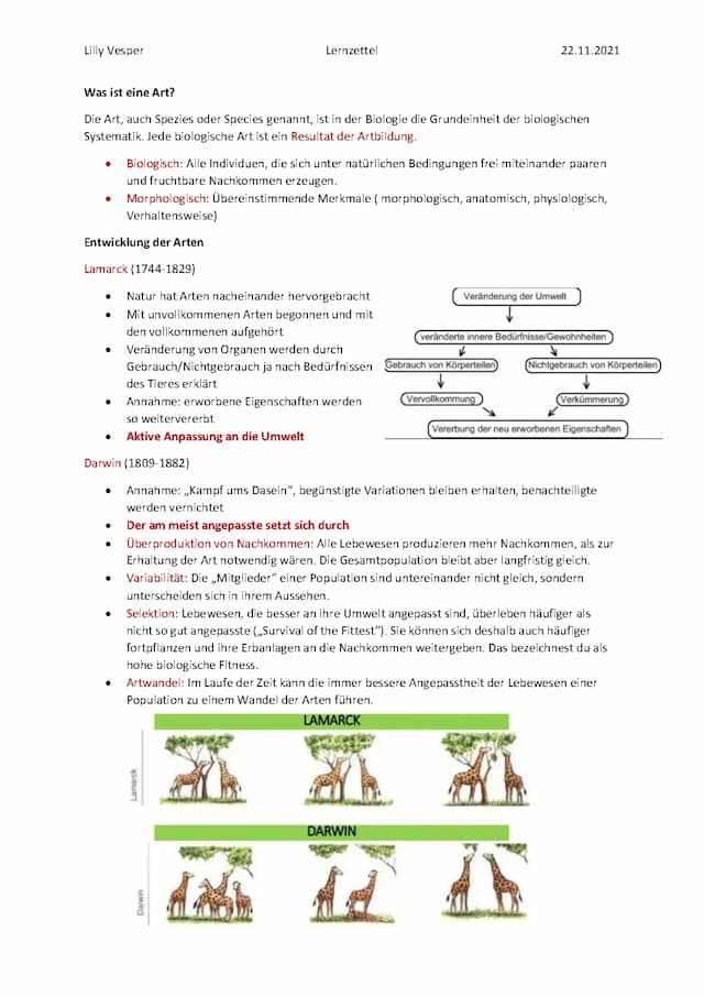 Know Evolution , Arten-Bildung thumbnail