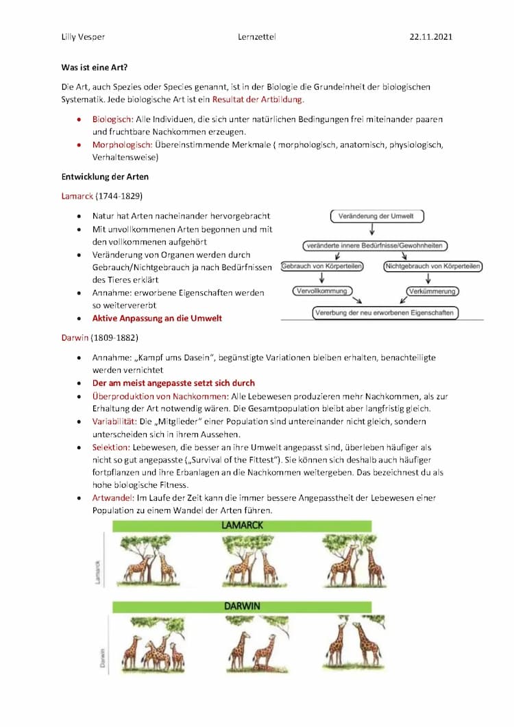 Know Evolution , Arten-Bildung thumbnail