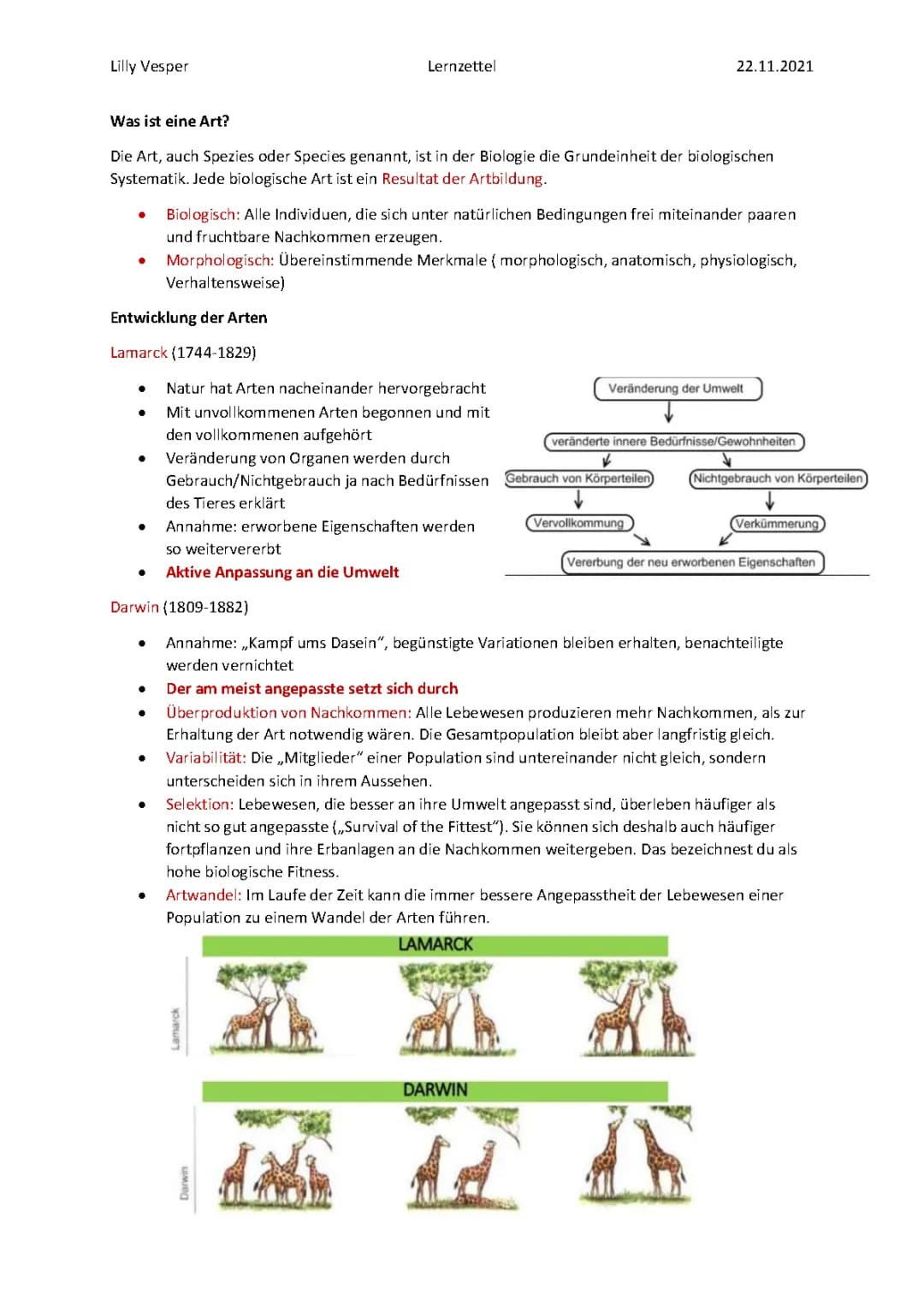 Evolution , Arten-Bildung