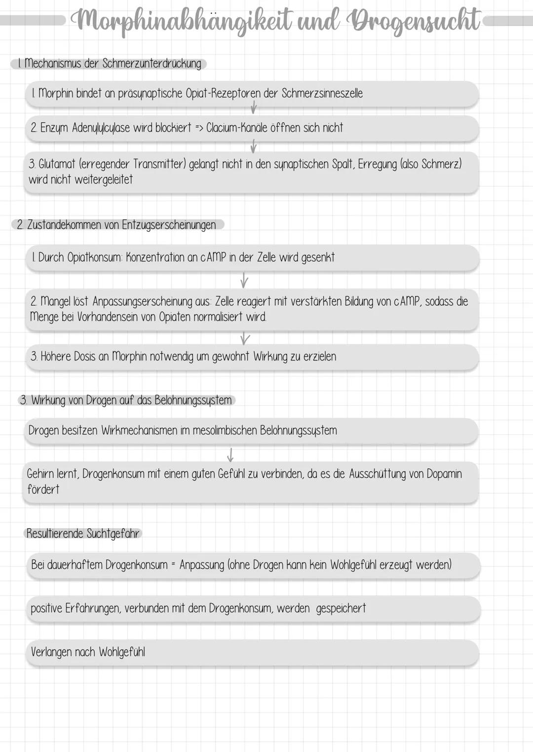 Dendrit
Zellkern
Struktur und Funktion
Dendrit:
Axonhügel
Axon:
Schwann sche
Zelle (Gliazelle):
Rangier'scher
Schnürring
Endknöpfchen
Synaps