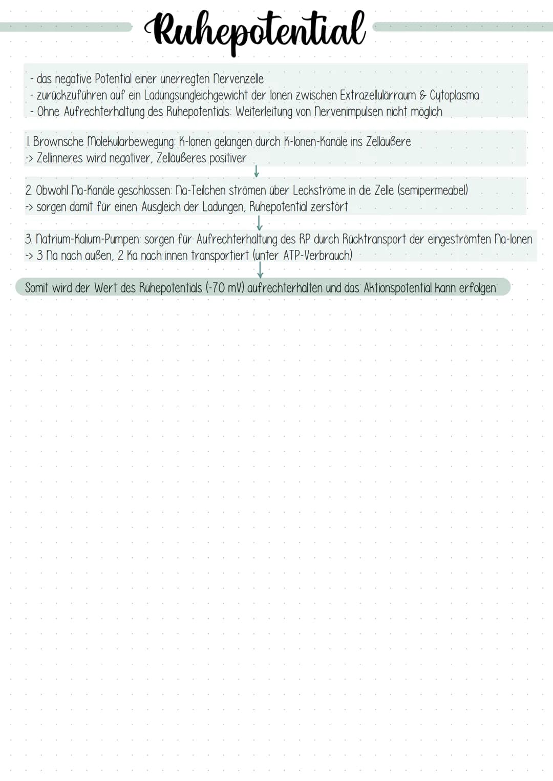 Dendrit
Zellkern
Struktur und Funktion
Dendrit:
Axonhügel
Axon:
Schwann sche
Zelle (Gliazelle):
Rangier'scher
Schnürring
Endknöpfchen
Synaps