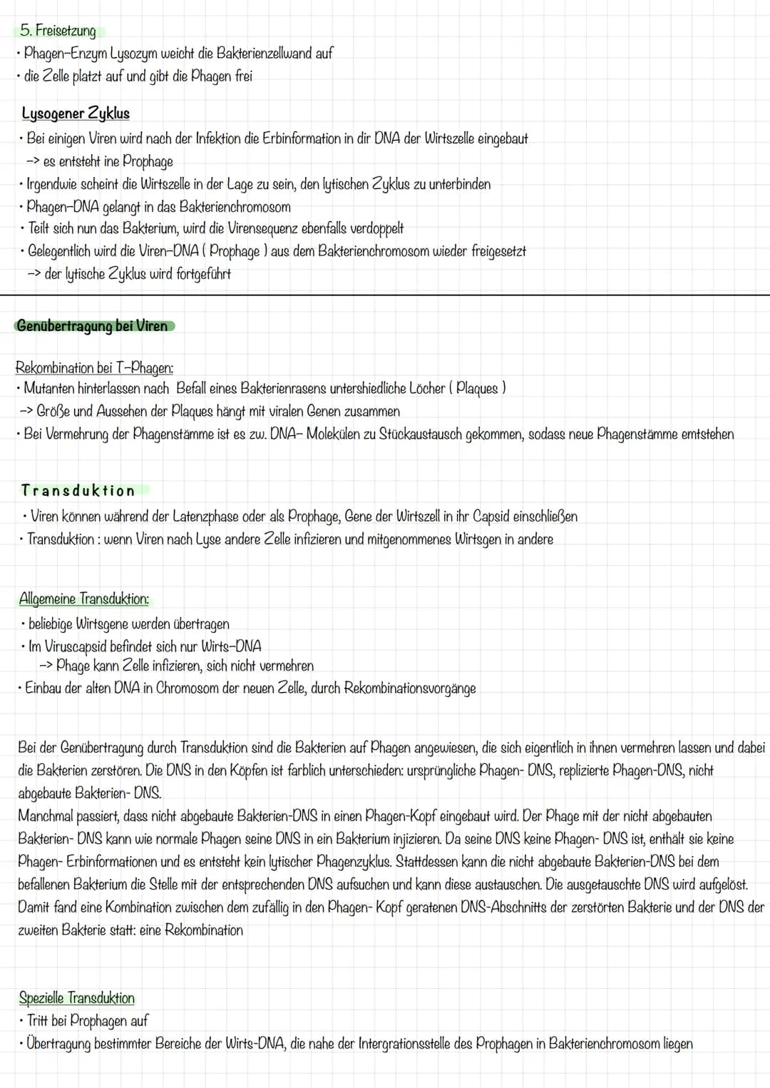 Bau und Vermehrung von Viren
Bakteriophage
Kopf
Hals
Kragen
Scheide
Schwanz-
faser
Boden-
platte
DNA
Zacken = Spikes
Vermehrung:
RNA-Viren:
