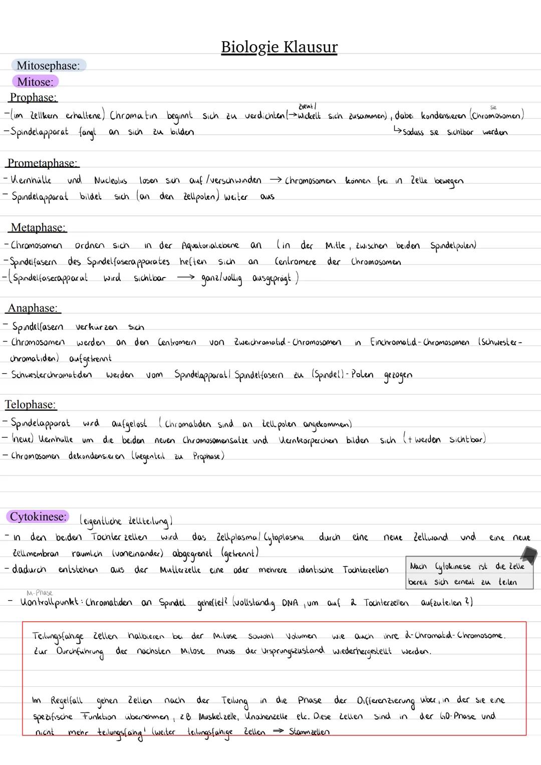 # Biologie Klausur

Zellzyklus:

Kontrollpunkt G1-Phase

GO

Interphase

S

G1

Milose

Cytokinese

Telophase

Anapnase

Metaphase

Promela 