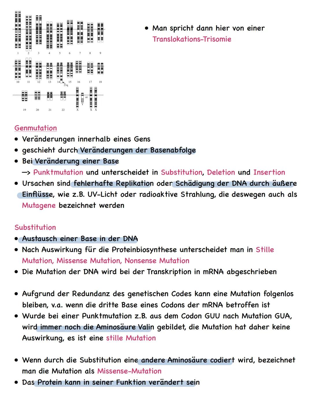 Zusammenfassung
Molekulargenetik
• Bausteine der DNA sind Nukleotide
-> besteht aus einem Zucker, einer Base und einem Phosphatrest
Aufbau d