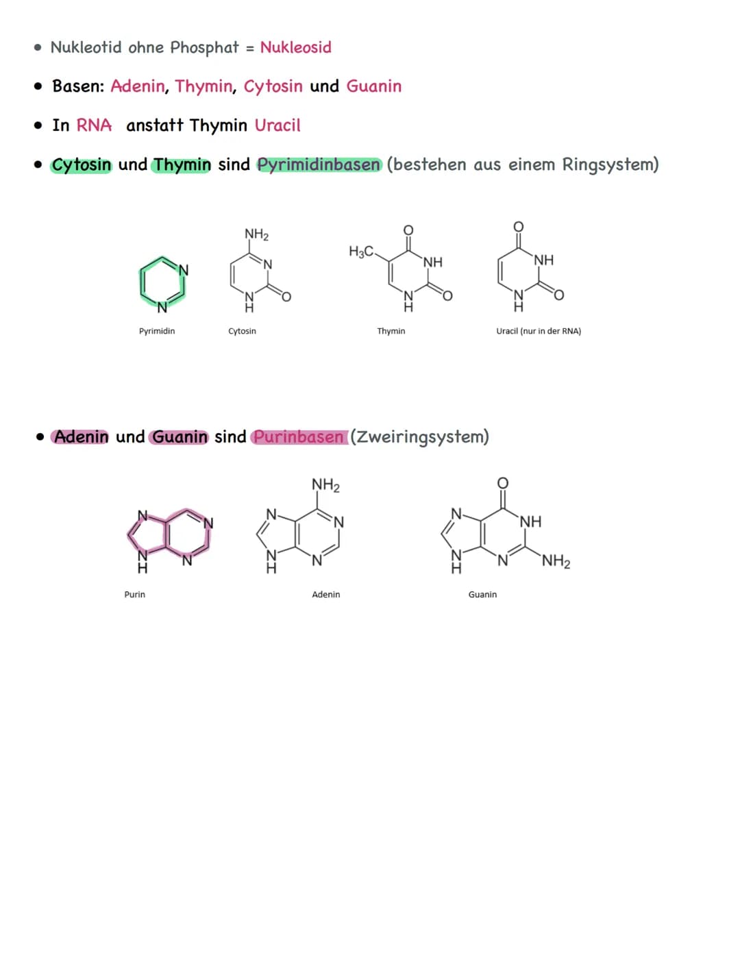 Zusammenfassung
Molekulargenetik
• Bausteine der DNA sind Nukleotide
-> besteht aus einem Zucker, einer Base und einem Phosphatrest
Aufbau d