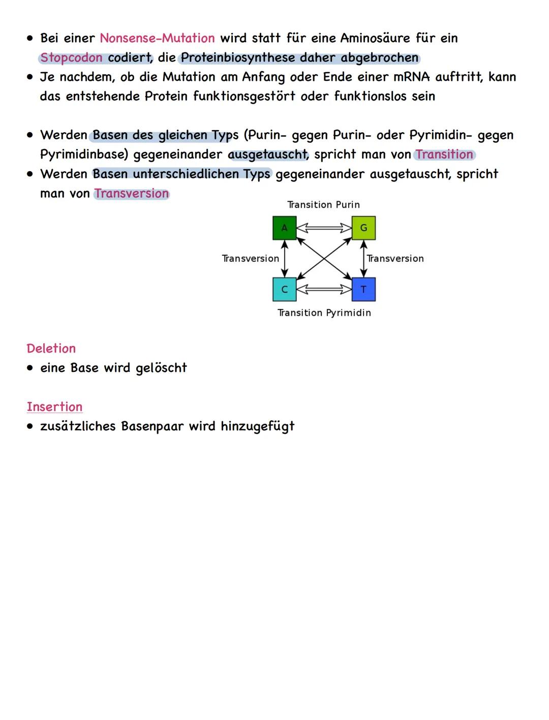 Zusammenfassung
Molekulargenetik
• Bausteine der DNA sind Nukleotide
-> besteht aus einem Zucker, einer Base und einem Phosphatrest
Aufbau d