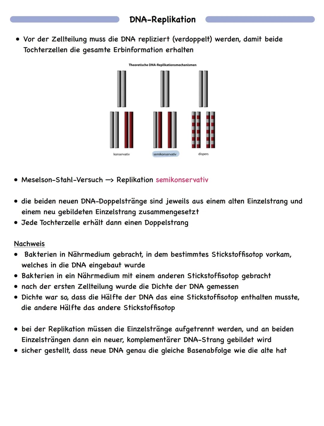 Zusammenfassung
Molekulargenetik
• Bausteine der DNA sind Nukleotide
-> besteht aus einem Zucker, einer Base und einem Phosphatrest
Aufbau d