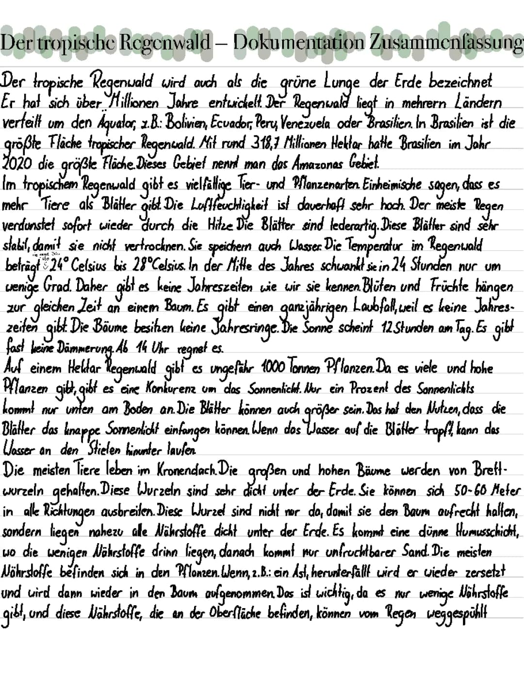 Tropischer Regenwald 