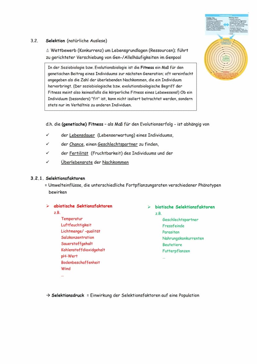 3. Evolutionsmechanismen
[gemäß der synthetischen Evolutionstheorie]
3.1. Variation
d.h. Individuen einer Population unterscheiden sich im P