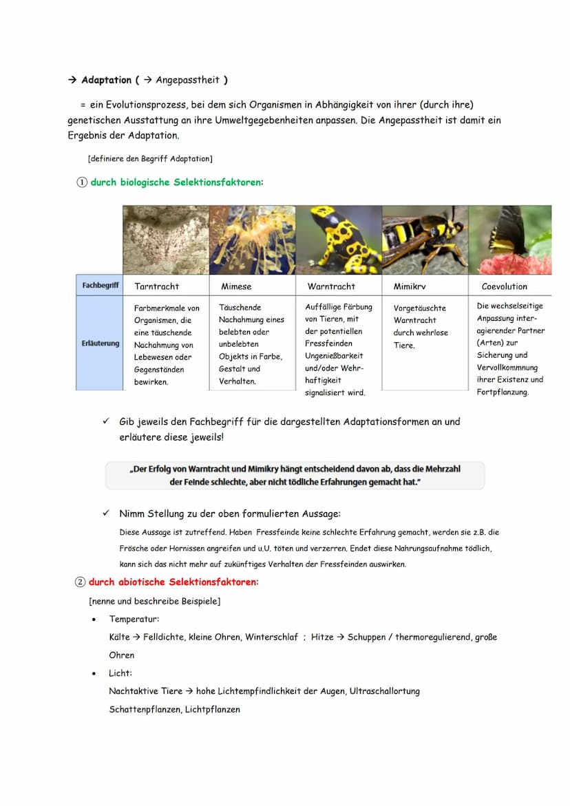 3. Evolutionsmechanismen
[gemäß der synthetischen Evolutionstheorie]
3.1. Variation
d.h. Individuen einer Population unterscheiden sich im P
