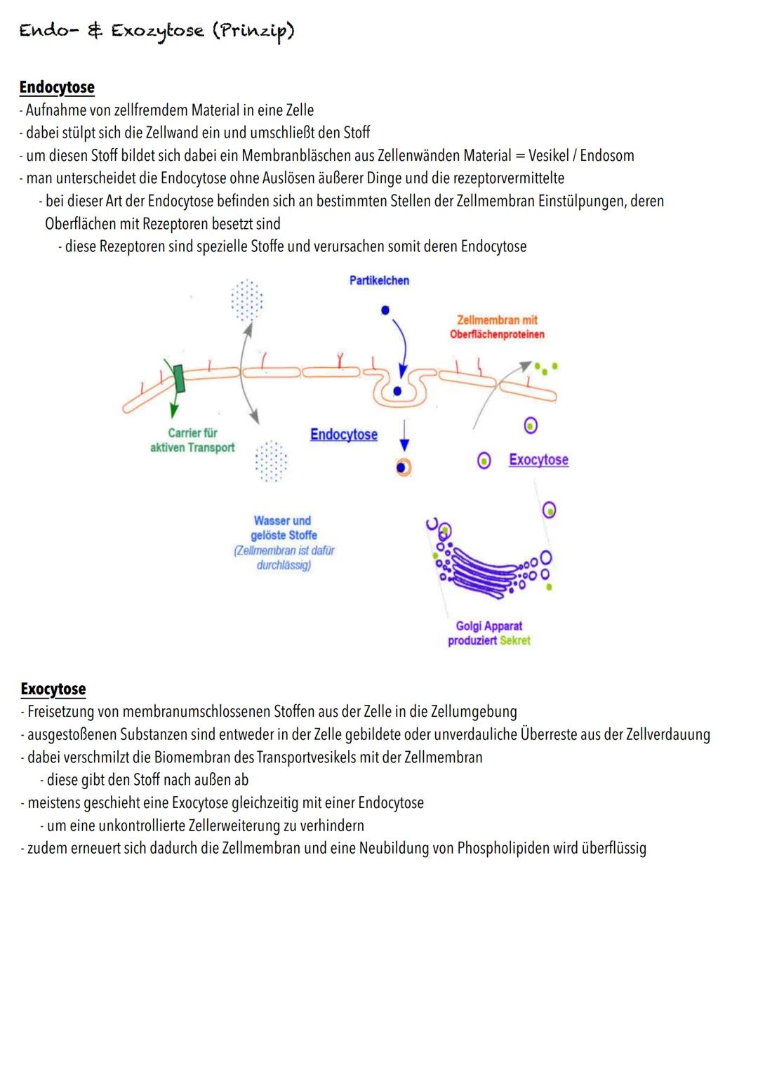 E-Phase
Zellbiologie BIOLOGY Abitur Checkliste - Themenübersicht
Struktur und Funktion von Zellen
Organisationsstufen und Kennzeichen des Le