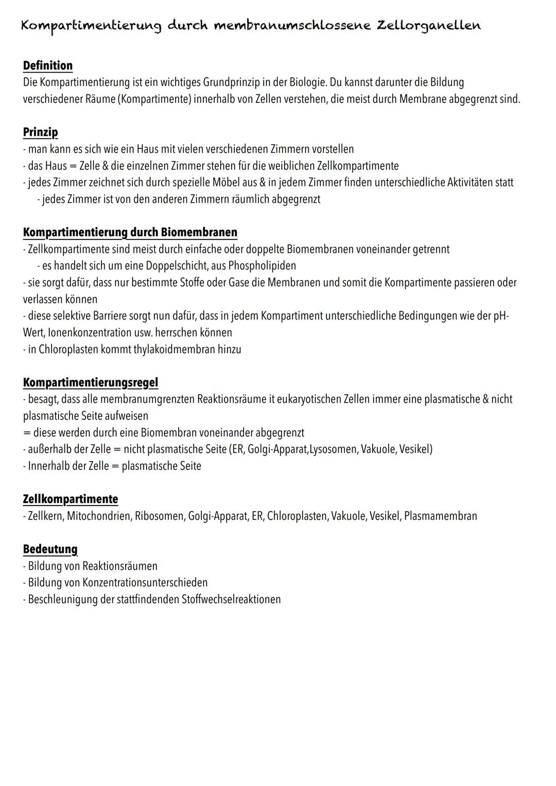 E-Phase
Zellbiologie BIOLOGY Abitur Checkliste - Themenübersicht
Struktur und Funktion von Zellen
Organisationsstufen und Kennzeichen des Le