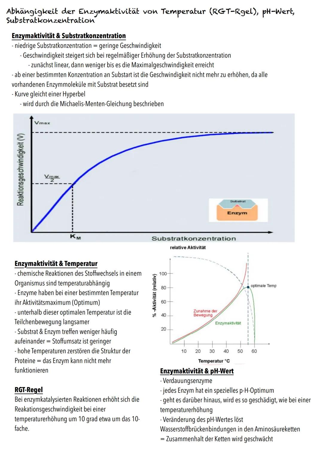 E-Phase
Zellbiologie BIOLOGY Abitur Checkliste - Themenübersicht
Struktur und Funktion von Zellen
Organisationsstufen und Kennzeichen des Le