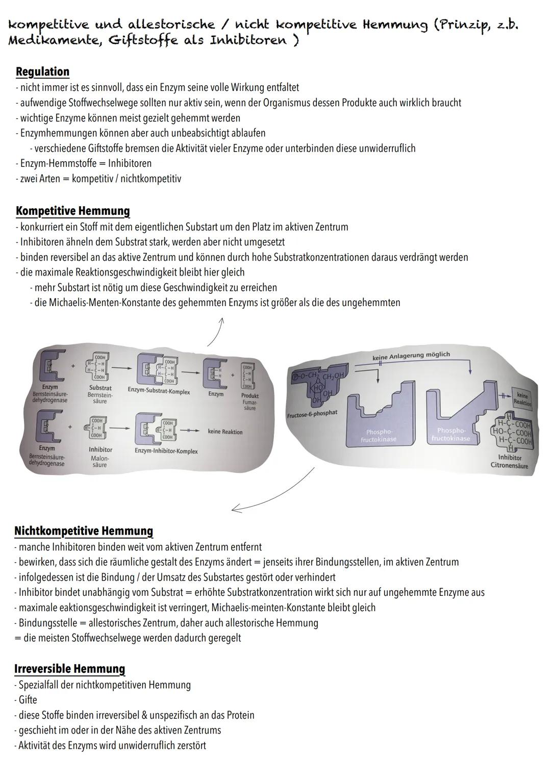 E-Phase
Zellbiologie BIOLOGY Abitur Checkliste - Themenübersicht
Struktur und Funktion von Zellen
Organisationsstufen und Kennzeichen des Le