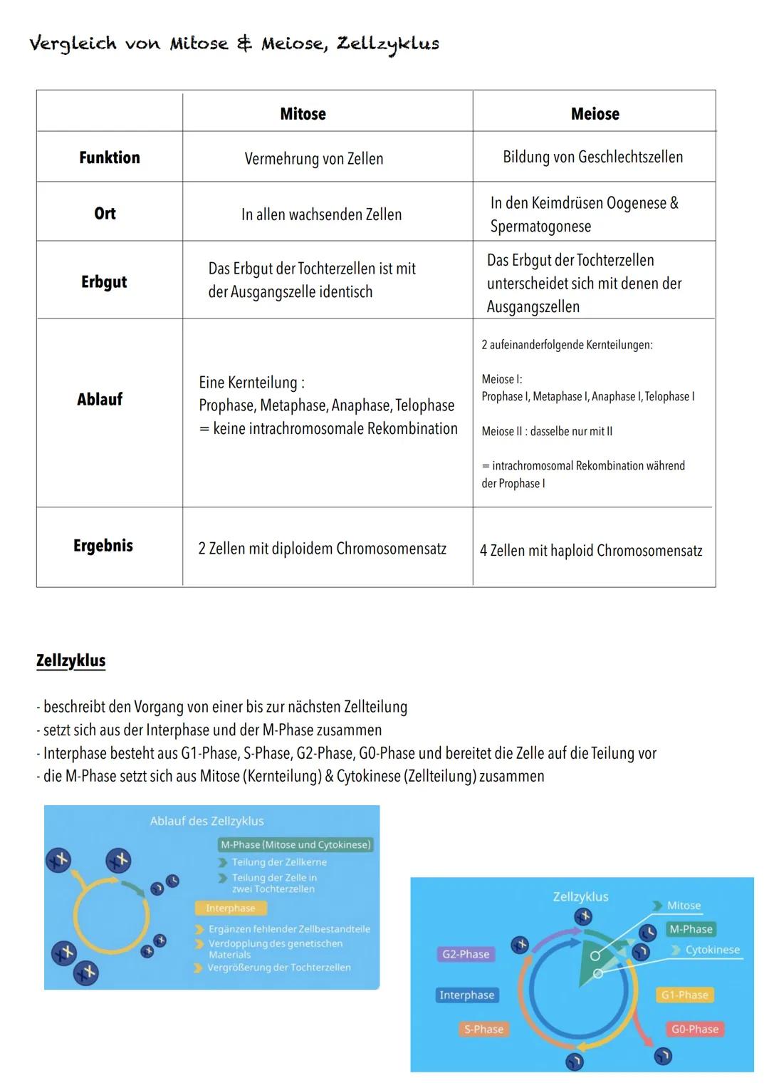 E-Phase
Zellbiologie BIOLOGY Abitur Checkliste - Themenübersicht
Struktur und Funktion von Zellen
Organisationsstufen und Kennzeichen des Le