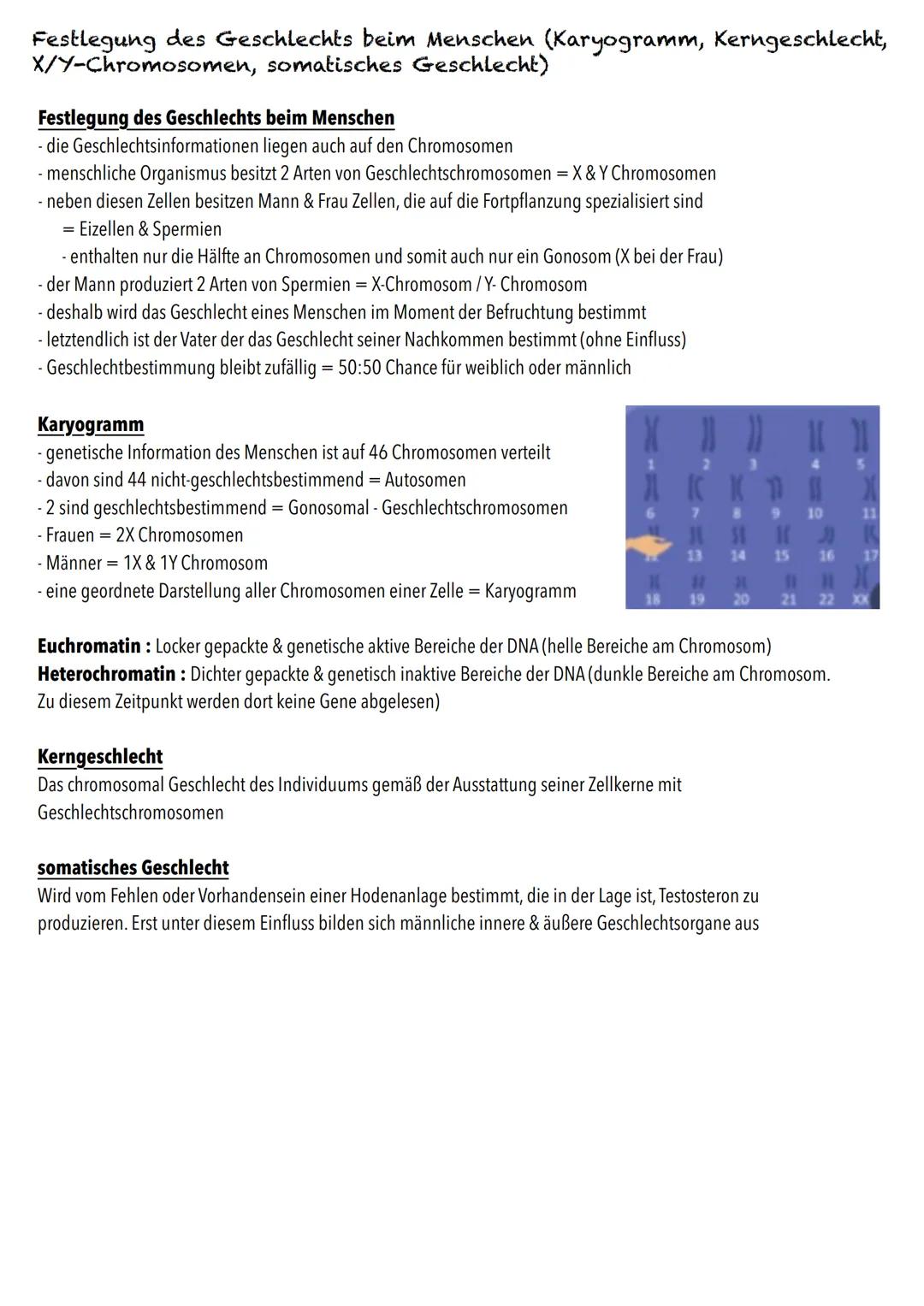 E-Phase
Zellbiologie BIOLOGY Abitur Checkliste - Themenübersicht
Struktur und Funktion von Zellen
Organisationsstufen und Kennzeichen des Le