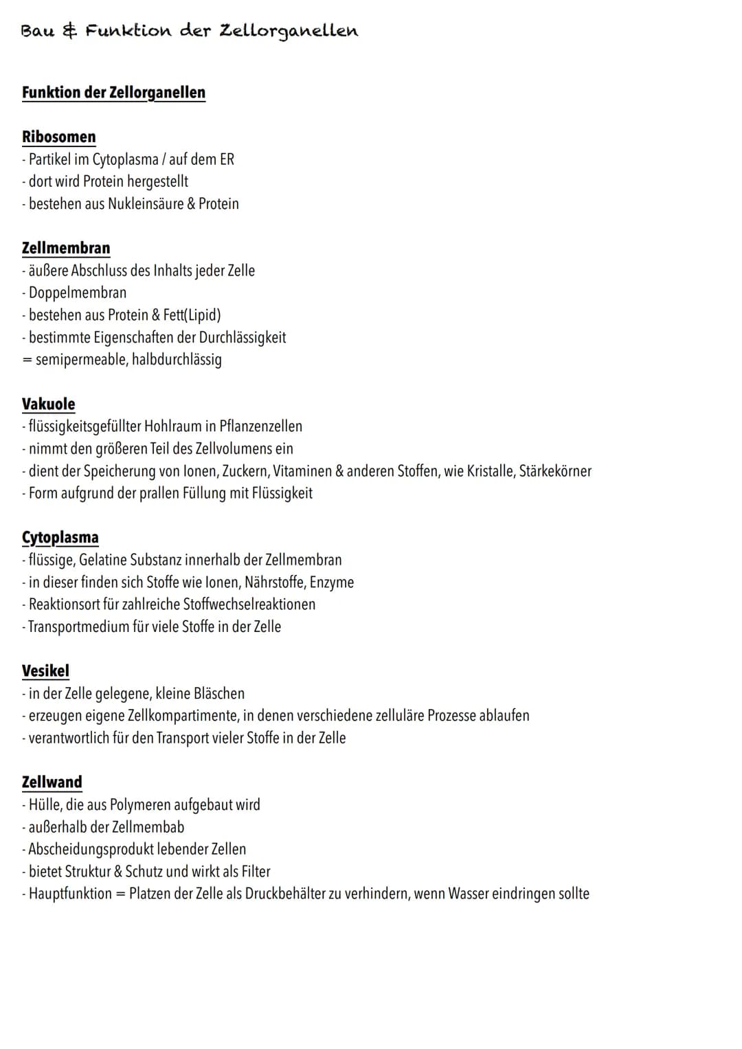 E-Phase
Zellbiologie BIOLOGY Abitur Checkliste - Themenübersicht
Struktur und Funktion von Zellen
Organisationsstufen und Kennzeichen des Le