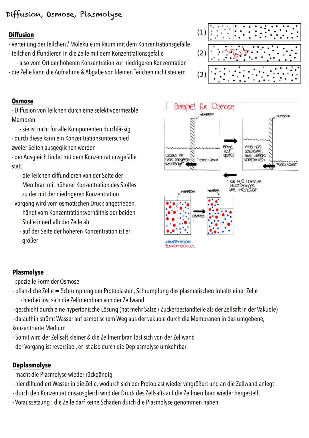 E-Phase
Zellbiologie BIOLOGY Abitur Checkliste - Themenübersicht
Struktur und Funktion von Zellen
Organisationsstufen und Kennzeichen des Le