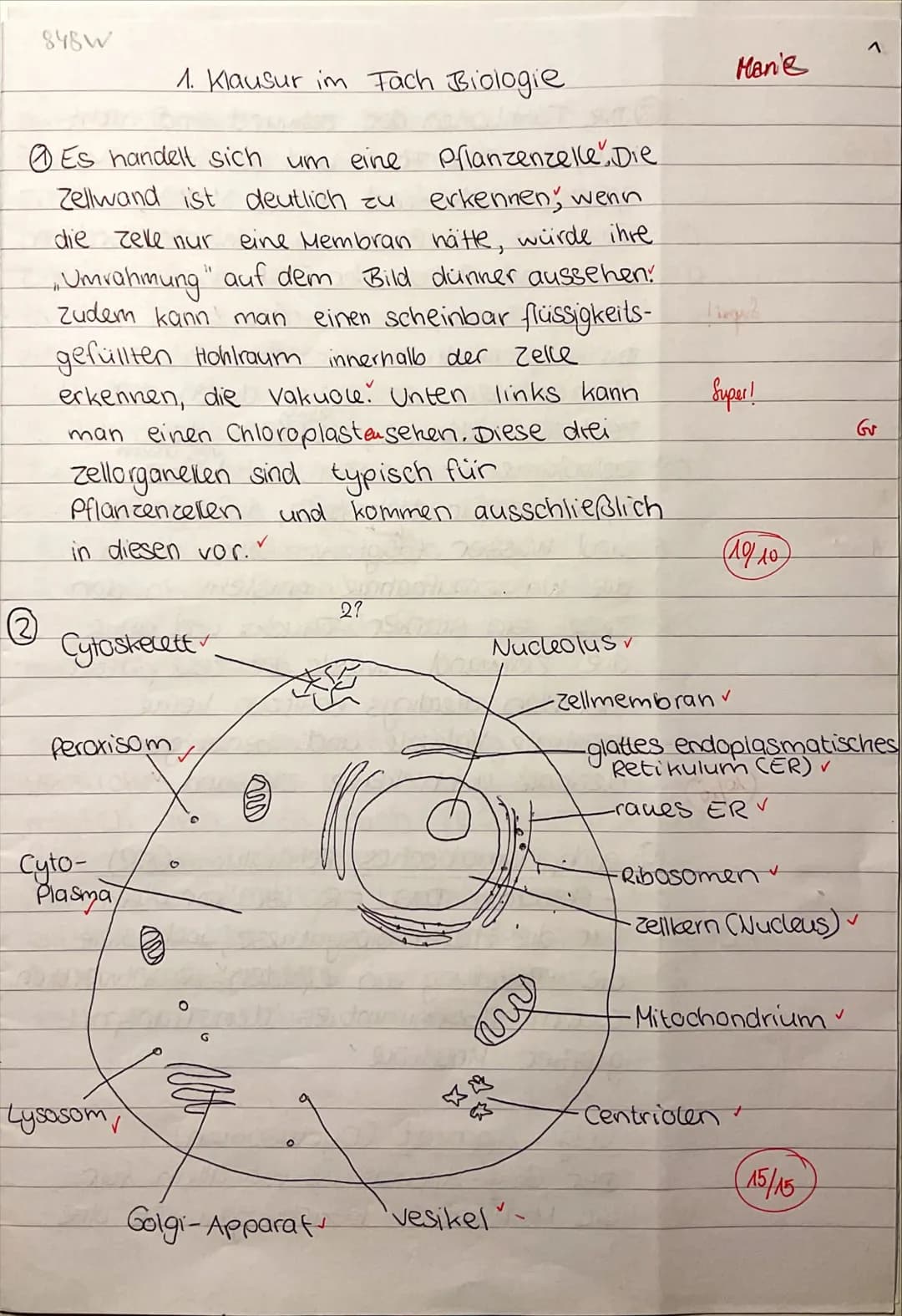7
Ea/Biologie
Name:
Marie
1. Biologieklausur: Zellbiologie
Bearbeitungszeit: 90 min
Es sind keine Hilfsmittel zugelassen.
Zelltypen und Zell