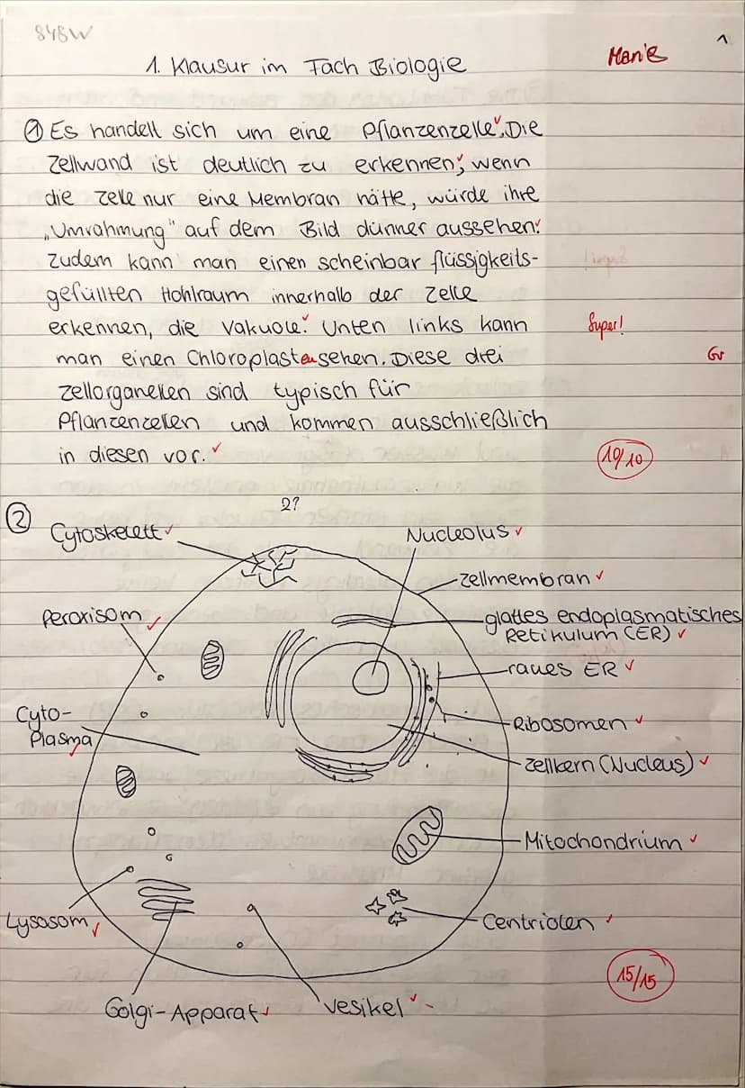 7
Ea/Biologie
Name:
Marie
1. Biologieklausur: Zellbiologie
Bearbeitungszeit: 90 min
Es sind keine Hilfsmittel zugelassen.
Zelltypen und Zell
