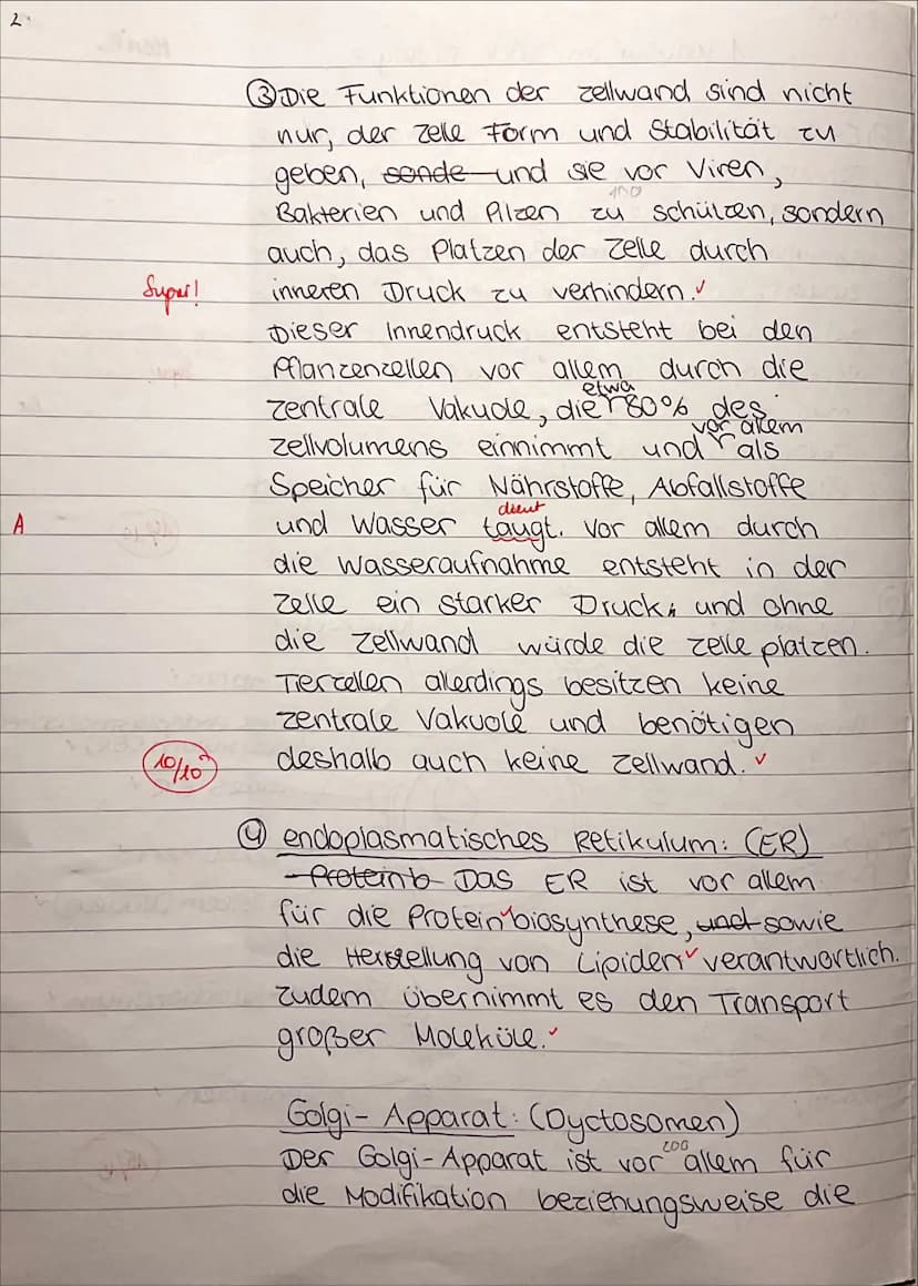 7
Ea/Biologie
Name:
Marie
1. Biologieklausur: Zellbiologie
Bearbeitungszeit: 90 min
Es sind keine Hilfsmittel zugelassen.
Zelltypen und Zell