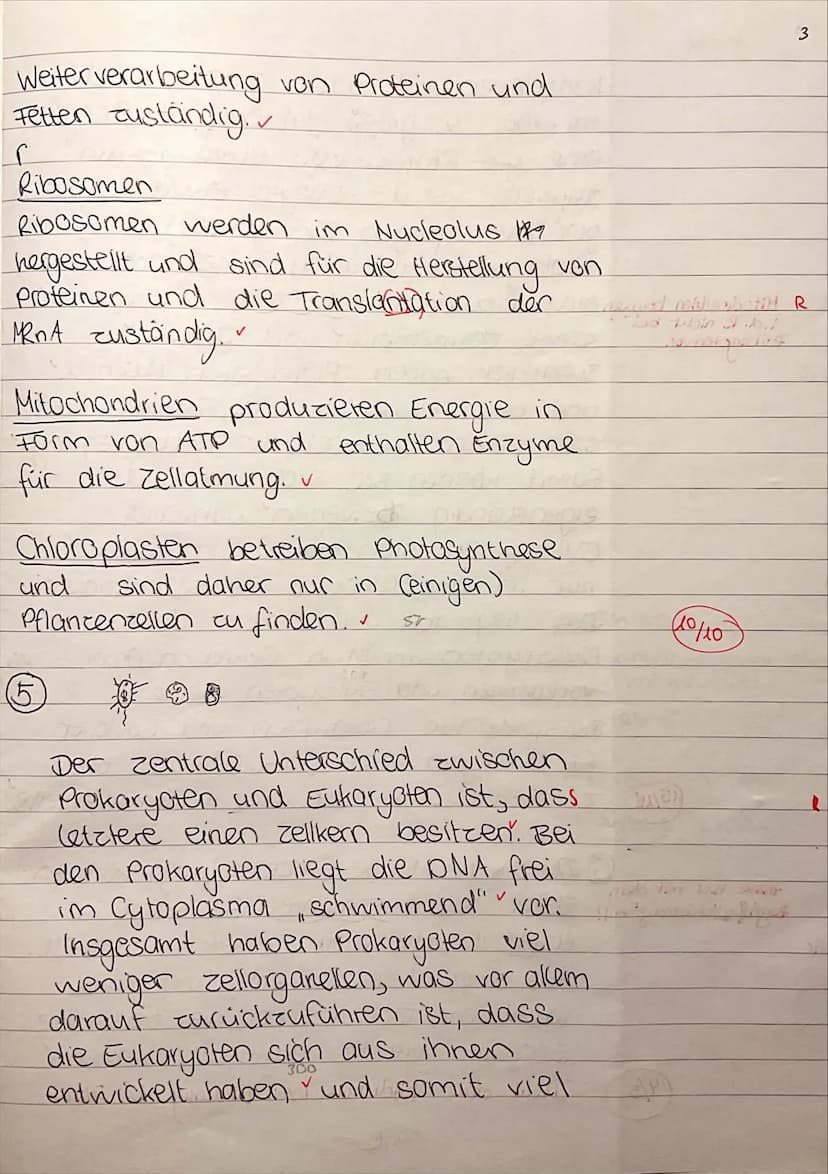 7
Ea/Biologie
Name:
Marie
1. Biologieklausur: Zellbiologie
Bearbeitungszeit: 90 min
Es sind keine Hilfsmittel zugelassen.
Zelltypen und Zell