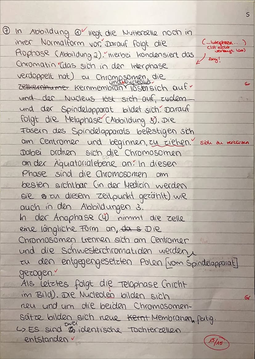 7
Ea/Biologie
Name:
Marie
1. Biologieklausur: Zellbiologie
Bearbeitungszeit: 90 min
Es sind keine Hilfsmittel zugelassen.
Zelltypen und Zell
