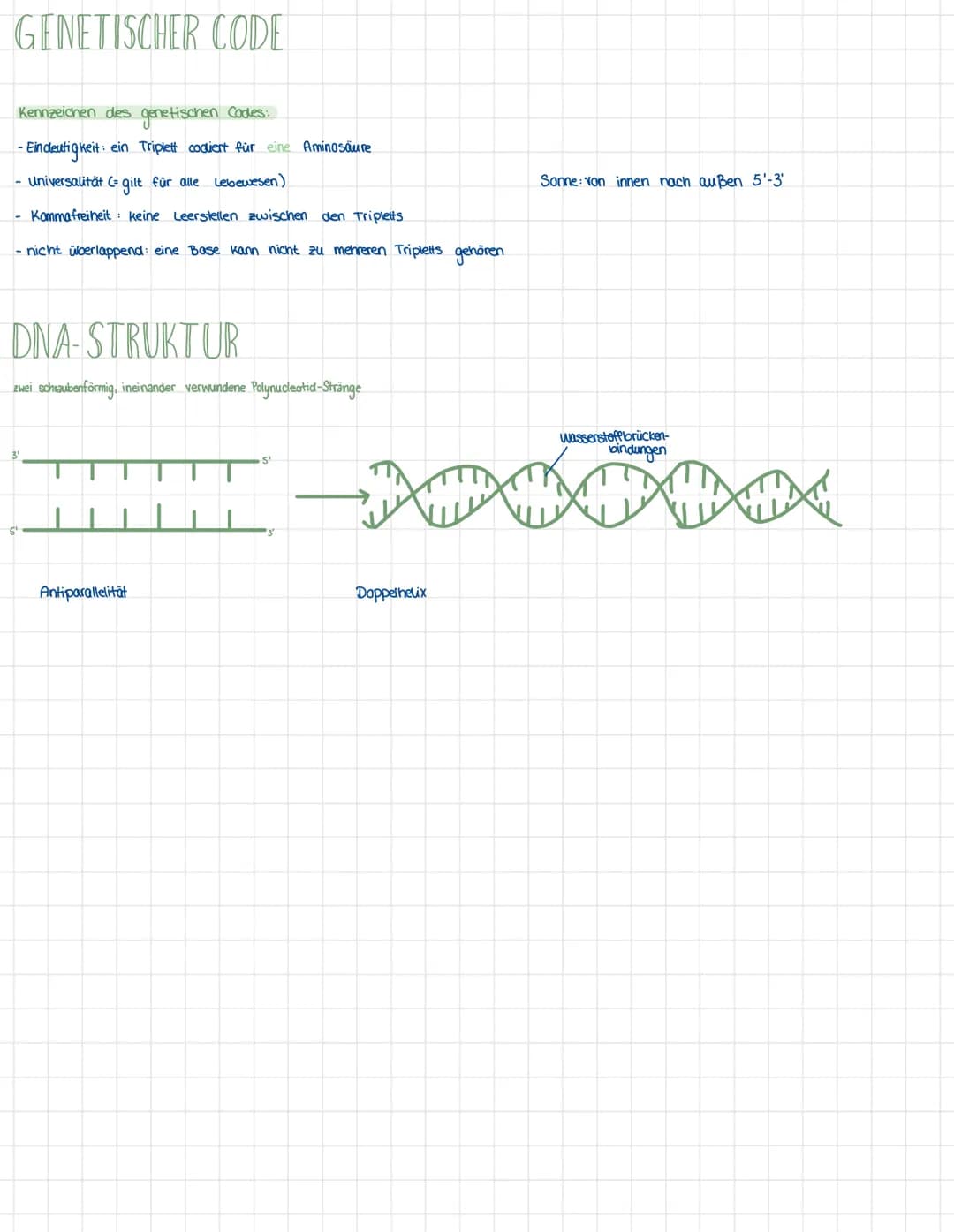 DNA-REPLIKATION
DNA
Polymerase
(von 5'3¹)
Folgestrang
DAN OD O
DNA-Replikation
☆
f
Nucleotide
-
M
0
Primer
Primer
Helicase
-Primase
Leitstra