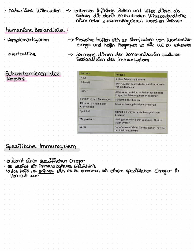 Viren
Aufbau von Viren
• Viren bestehen aus einer Proteinhülle
L> sie umschließen das genetische Material
Manchmal sind sie von einer Membra