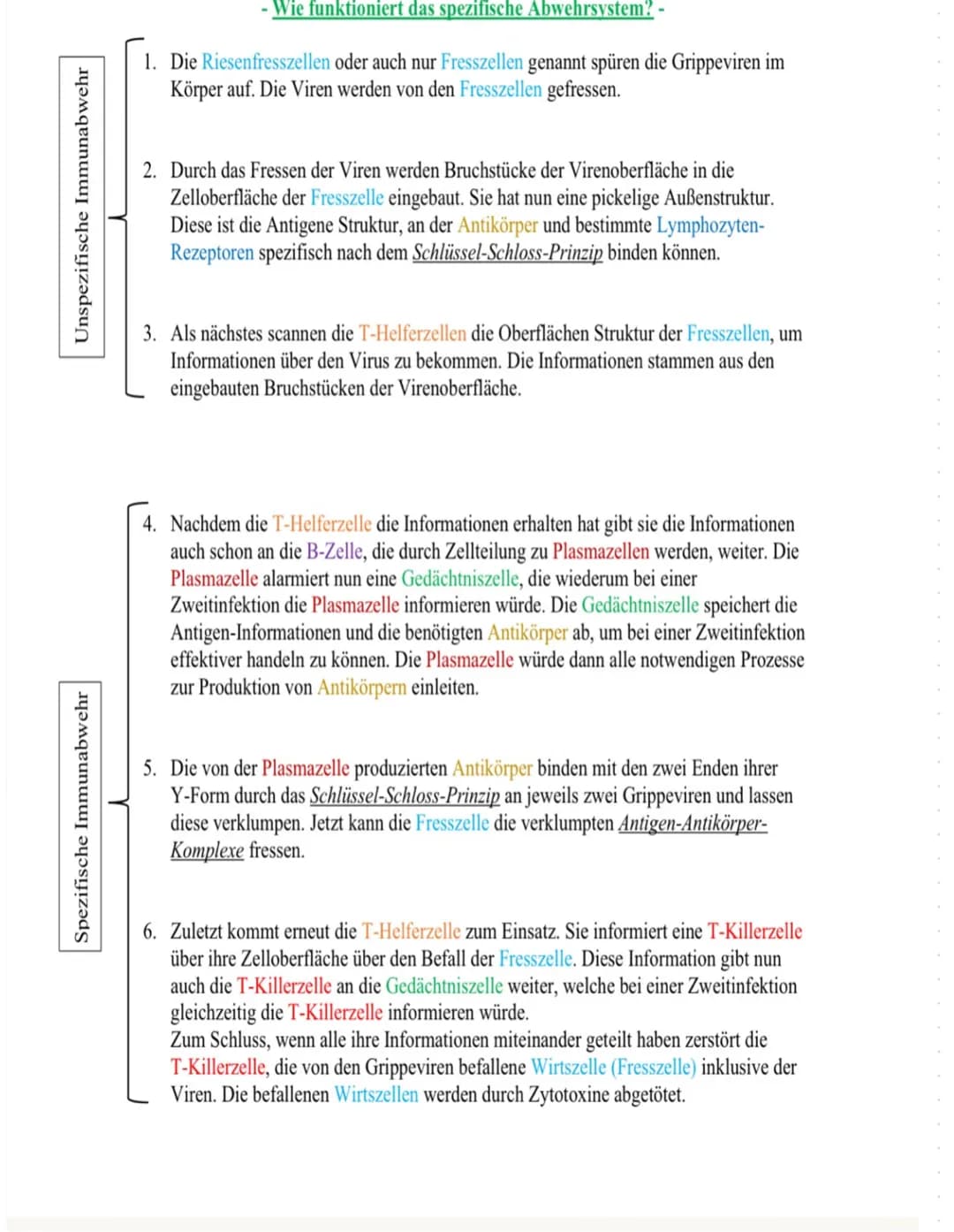 Viren
Aufbau von Viren
• Viren bestehen aus einer Proteinhülle
L> sie umschließen das genetische Material
Manchmal sind sie von einer Membra