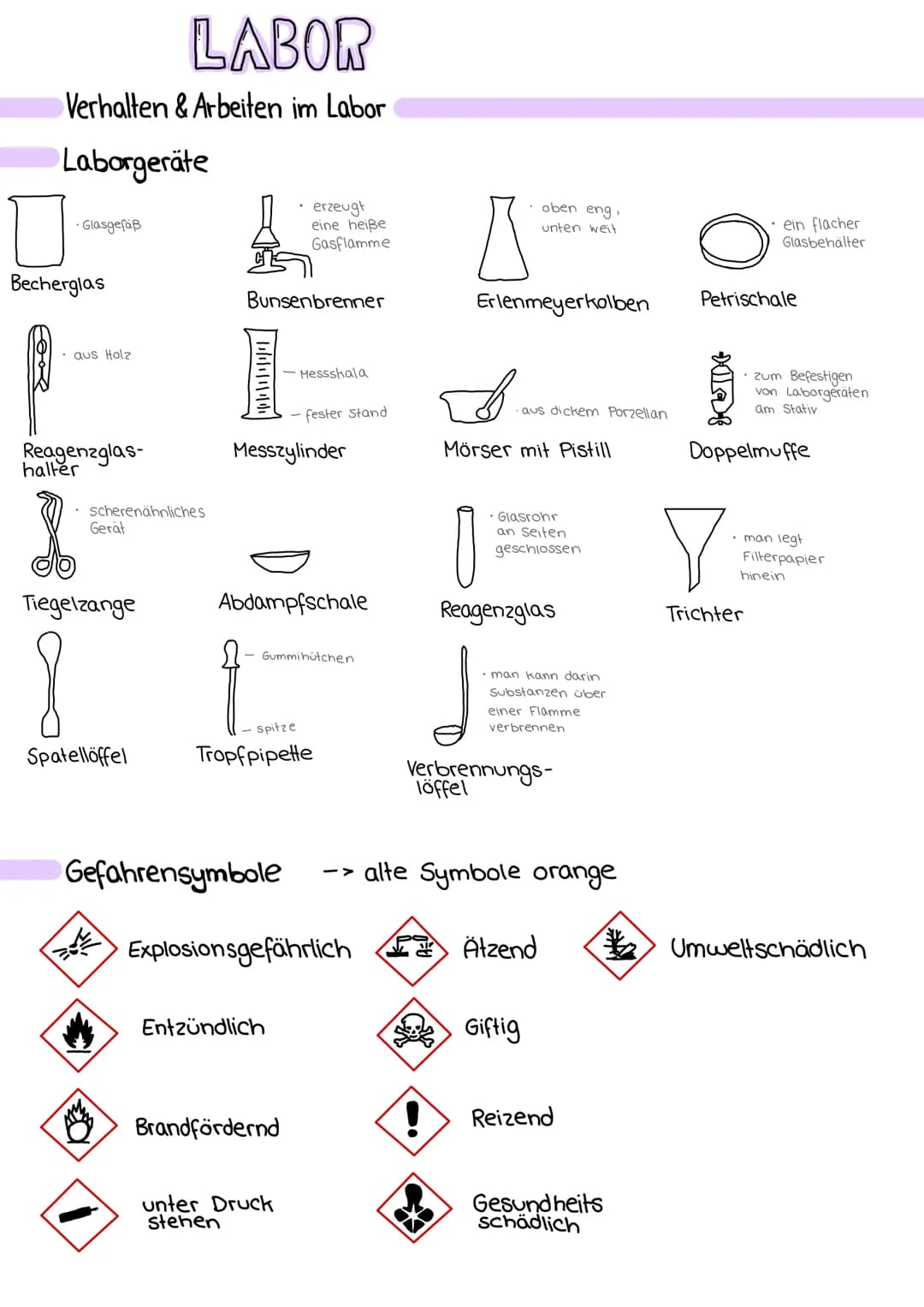 LABOR
Verhalten & Arbeiten im Labor
Laborgeräte
ㅁ
• Glasgefäß
Becherglas
aus Holz
Reagenzglas-
halter
• scherenähnliches
Gerät
Tiegelzange
S