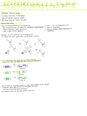 Know Restriktionsenzyme  thumbnail
