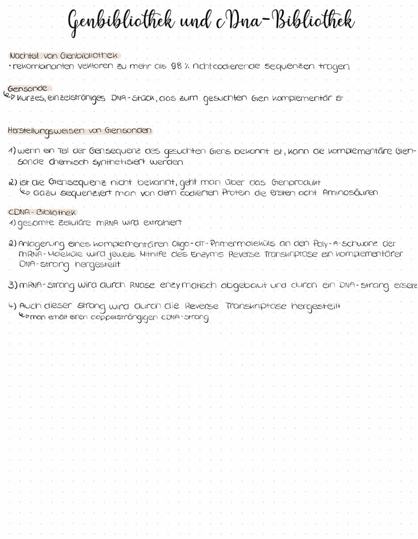 Genbibliothek und cDna- Bibliothek
Heterologe Expression
lex
·ein Gen wird in Zellen einer anderen Spezies exprimiert
Genomische Bibliothek
