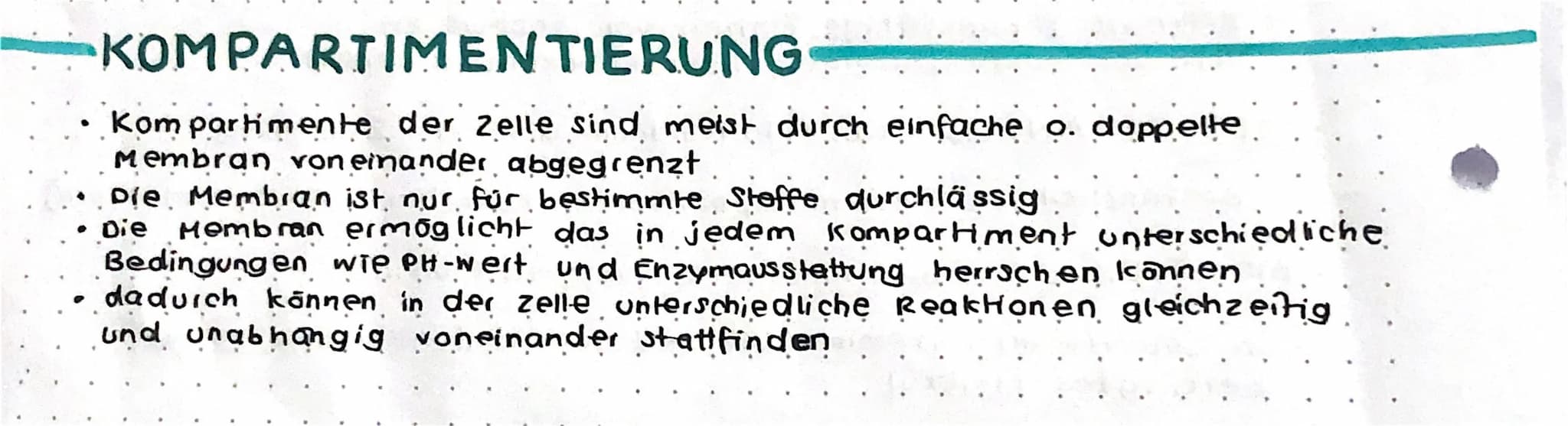 KOMPARTIMENTIERUNG
Kompartimente der Zelle sind meist durch einfache o. doppelte
Membran von einander abgegrenzt
Die Membran ist nur für bes