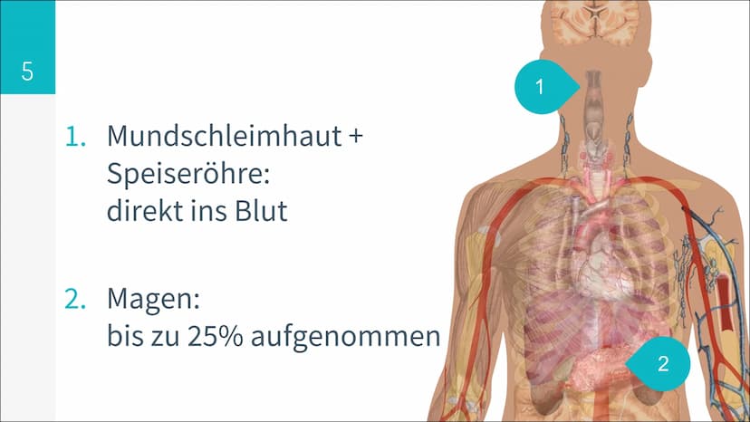6,7 Mio.
konsumieren Alkohol
in gesundheitlich
riskanter Form
1,6 Mio.
davon sind
alkoholabhängig
25%
konsumieren Alkohol
mehrmals pro Woche