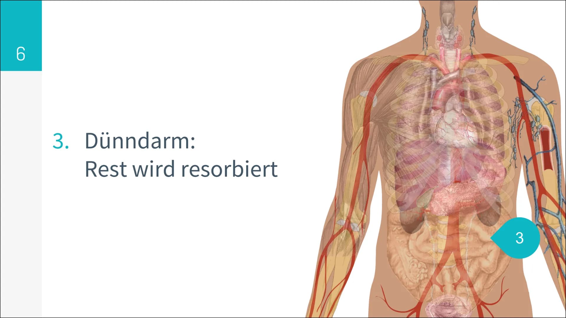 6,7 Mio.
konsumieren Alkohol
in gesundheitlich
riskanter Form
1,6 Mio.
davon sind
alkoholabhängig
25%
konsumieren Alkohol
mehrmals pro Woche
