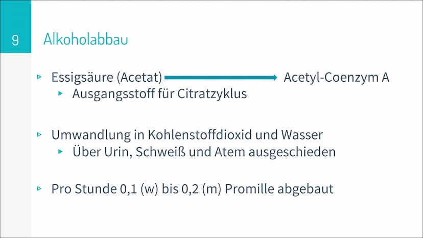 6,7 Mio.
konsumieren Alkohol
in gesundheitlich
riskanter Form
1,6 Mio.
davon sind
alkoholabhängig
25%
konsumieren Alkohol
mehrmals pro Woche