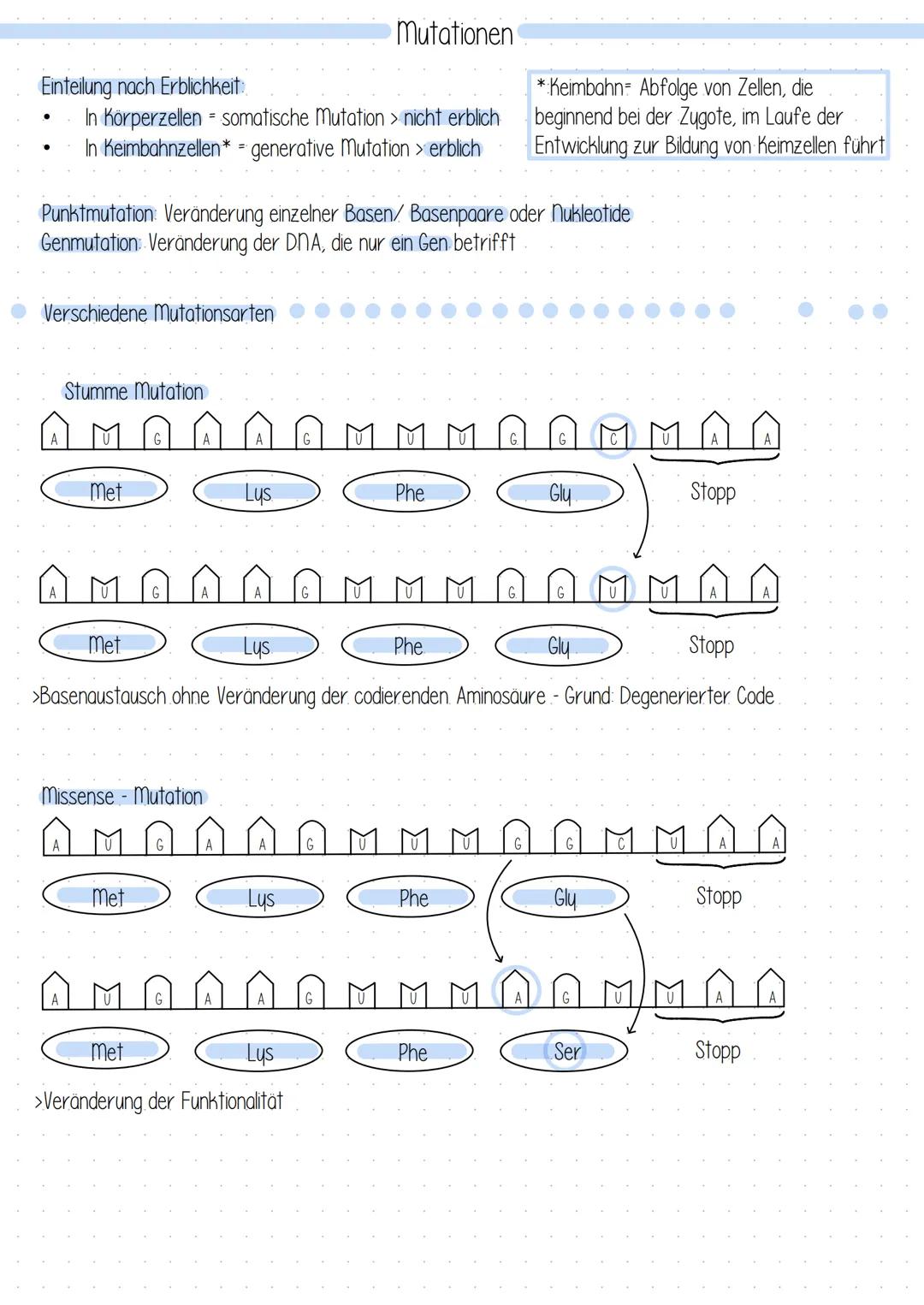# Mutationen # Mutationen

Einteilung nach Erblichkeit
- In Körperzellen = somatische Mutation > nicht erblich
- In Keimbahnzellen* generati