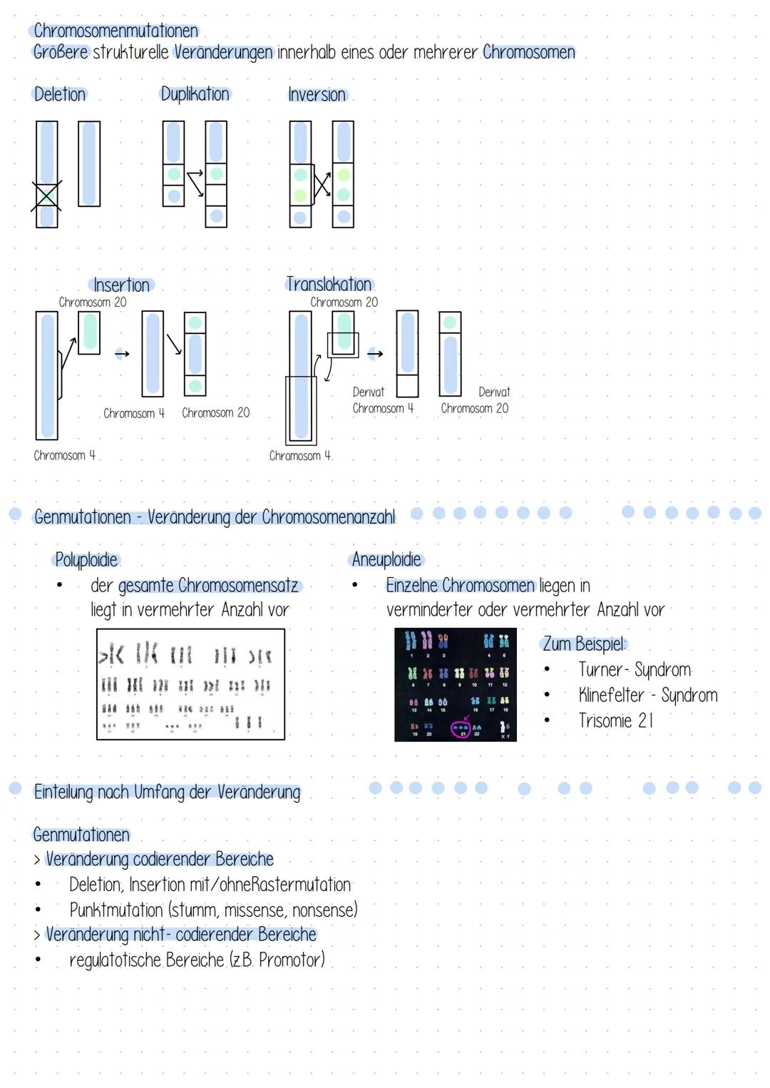 # Mutationen # Mutationen

Einteilung nach Erblichkeit
- In Körperzellen = somatische Mutation > nicht erblich
- In Keimbahnzellen* generati