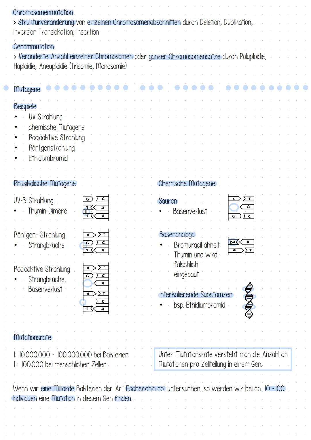 # Mutationen # Mutationen

Einteilung nach Erblichkeit
- In Körperzellen = somatische Mutation > nicht erblich
- In Keimbahnzellen* generati