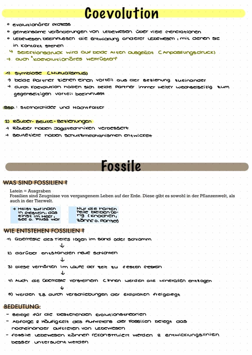  ABIOTISCHE FAKTOREN (Alle Umweltfaktoren an denen Lebewesen erkennbar nicht beteiligt sind)
- Klimawandel
}
- Licht
Klima Temperatur
Feucht