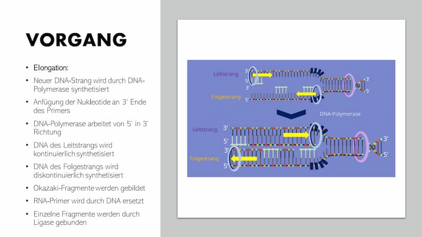 DNA-REPLIKATION
Johann, Alina, Vincent, Santino GLIEDERUNG
●
●
●
●
Allgemeine Informationen
Definition
Antiparallele DNA-Stränge
• Vorgang
E
