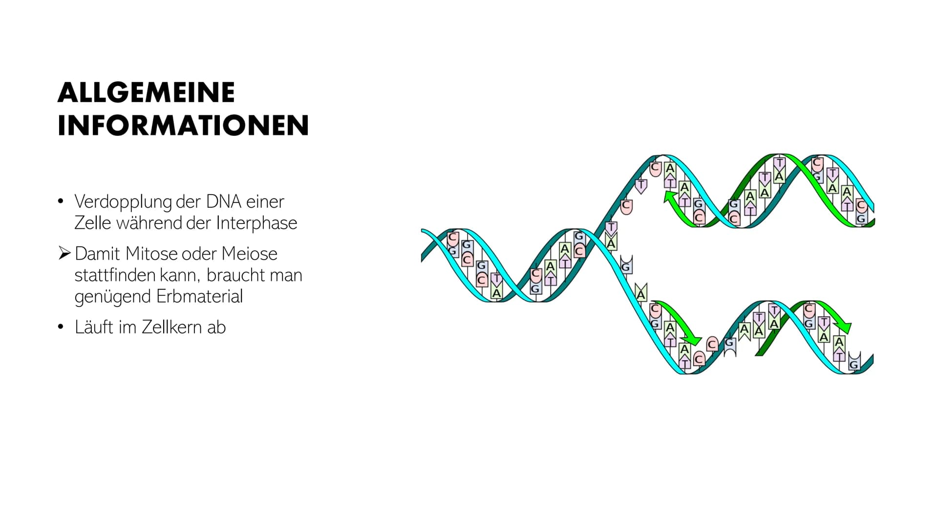 DNA-REPLIKATION
Johann, Alina, Vincent, Santino GLIEDERUNG
●
●
●
●
Allgemeine Informationen
Definition
Antiparallele DNA-Stränge
• Vorgang
E