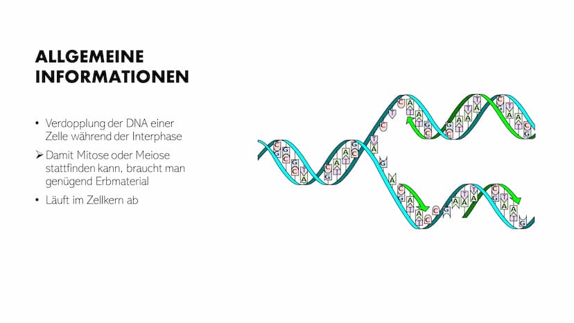 DNA-REPLIKATION
Johann, Alina, Vincent, Santino GLIEDERUNG
●
●
●
●
Allgemeine Informationen
Definition
Antiparallele DNA-Stränge
• Vorgang
E
